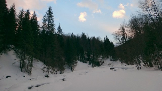 Cazacu_11012015_blog 35