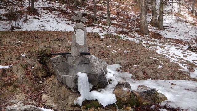 Cr Piatra Craiului Mica_22022015_blog 004