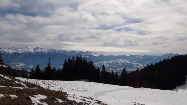 Cr Piatra Craiului Mica_22022015_blog 012