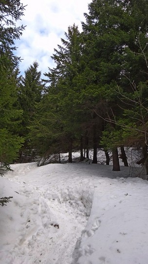 Cr Piatra Craiului Mica_22022015_blog 019