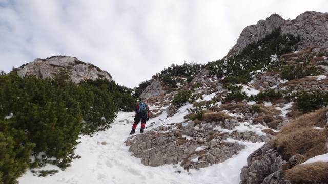 Cr Piatra Craiului Mica_22022015_blog 047