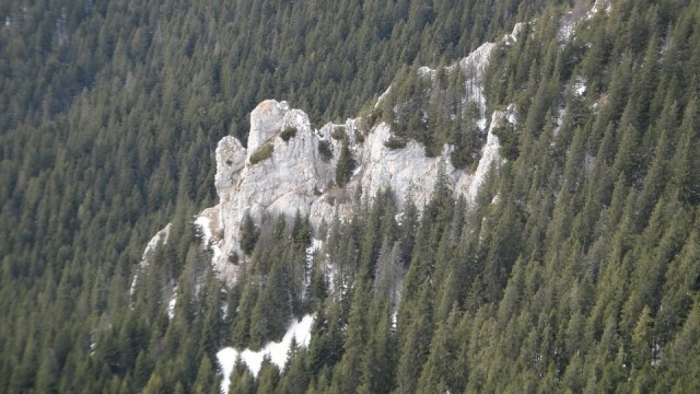 Cr Piatra Craiului Mica_22022015_blog 049