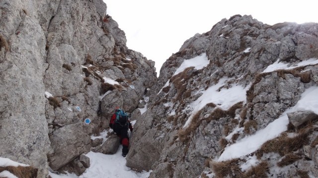 Cr Piatra Craiului Mica_22022015_blog 059