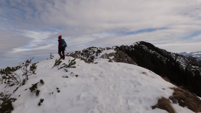 Cr Piatra Craiului Mica_22022015_blog 064