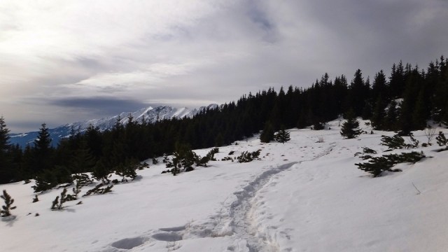 Cr Piatra Craiului Mica_22022015_blog 085