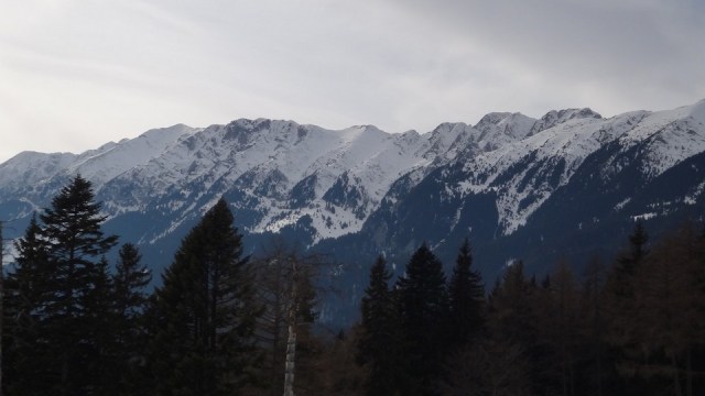 Cr Piatra Craiului Mica_22022015_blog 108