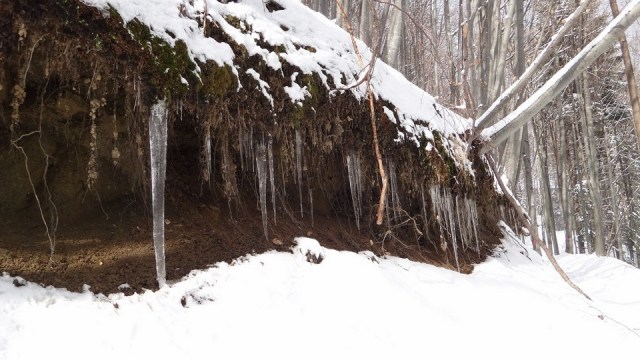 Leaota_cabana_8022015_blog_021