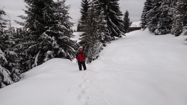 Leaota_cabana_8022015_blog_062