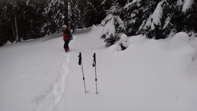 Leaota_cabana_8022015_blog_070