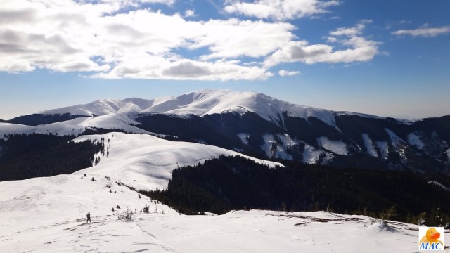 Traversarea Leaotei_iarna_14022015_blog 002