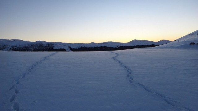 Traversarea Leaotei_iarna_14022015_blog 016