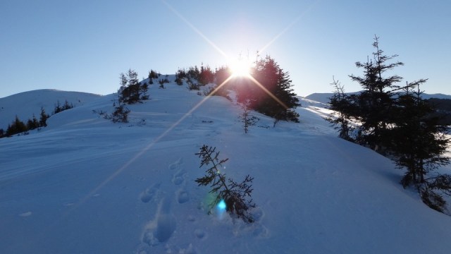 Traversarea Leaotei_iarna_14022015_blog 046