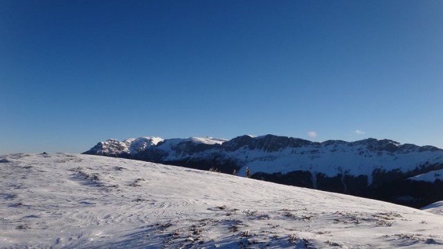 Traversarea Leaotei_iarna_14022015_blog 058