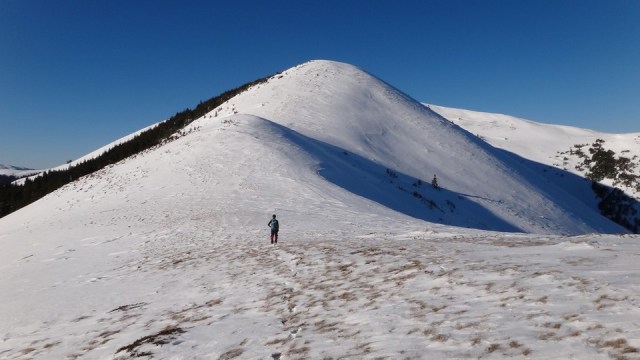 Traversarea Leaotei_iarna_14022015_blog 072