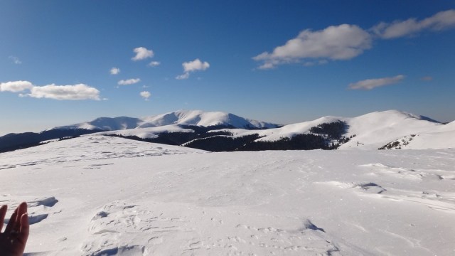 Traversarea Leaotei_iarna_14022015_blog 080