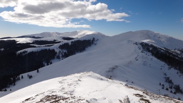 Traversarea Leaotei_iarna_14022015_blog 106