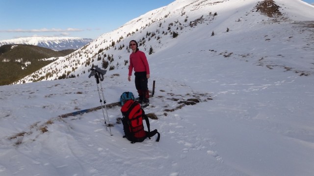 Traversarea Leaotei_iarna_14022015_blog 110