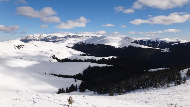 Traversarea Leaotei_iarna_14022015_blog 119