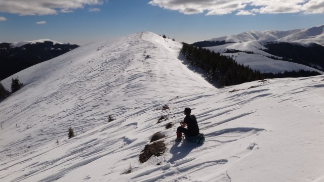 Traversarea Leaotei_iarna_14022015_blog 121