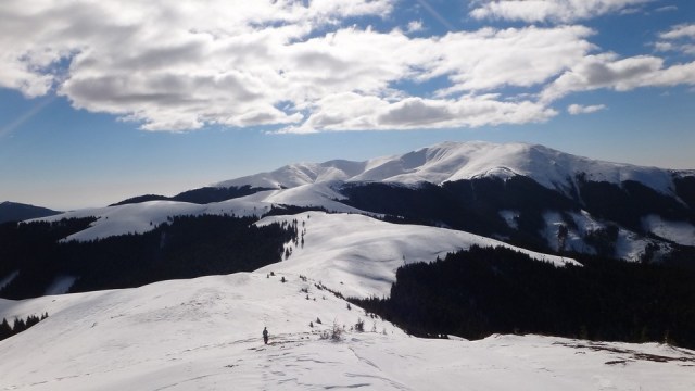 Traversarea Leaotei_iarna_14022015_blog 124