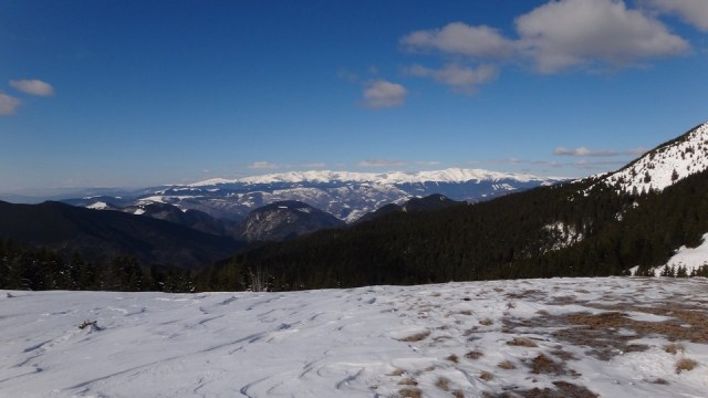 Traversarea Leaotei_iarna_14022015_blog 130