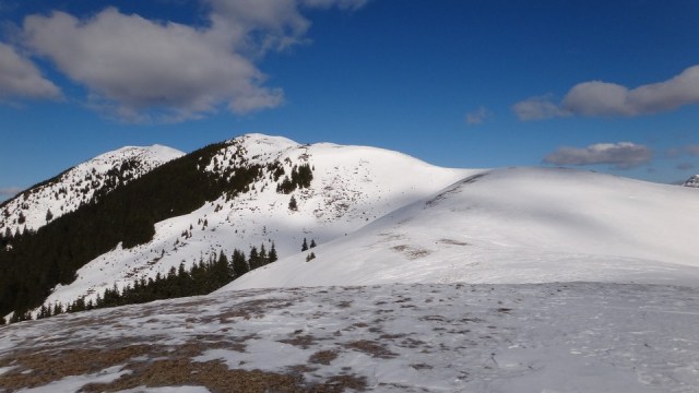 Traversarea Leaotei_iarna_14022015_blog 131