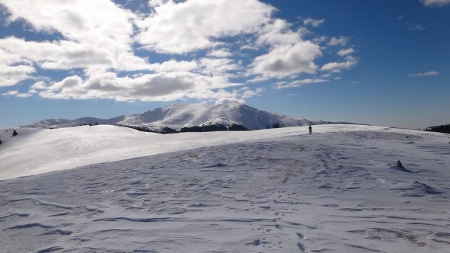 Traversarea Leaotei_iarna_14022015_blog 132