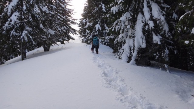 Traversarea Leaotei_iarna_14022015_blog 135