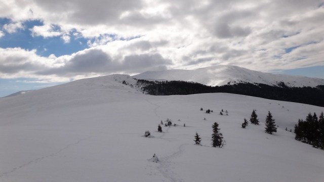 Traversarea Leaotei_iarna_14022015_blog 147