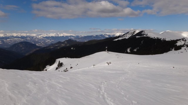 Traversarea Leaotei_iarna_14022015_blog 156