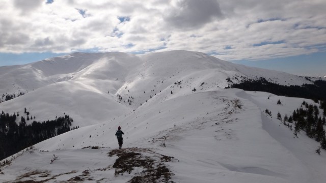 Traversarea Leaotei_iarna_14022015_blog 164