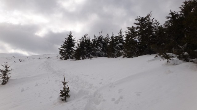 Traversarea Leaotei_iarna_14022015_blog 170