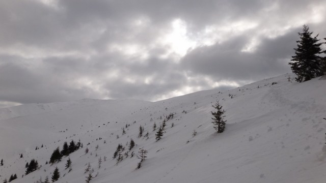 Traversarea Leaotei_iarna_14022015_blog 171