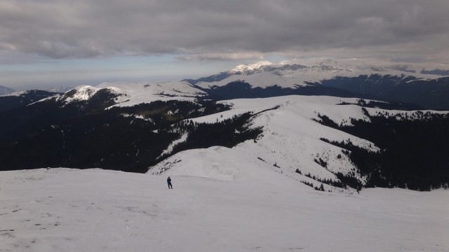 Traversarea Leaotei_iarna_14022015_blog 174