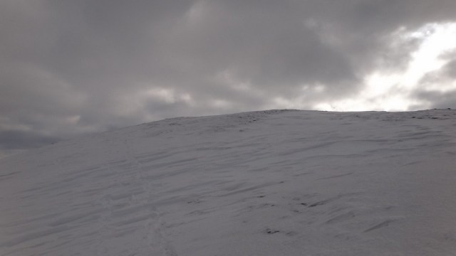 Traversarea Leaotei_iarna_14022015_blog 175