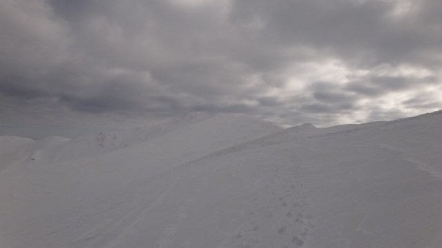 Traversarea Leaotei_iarna_14022015_blog 176