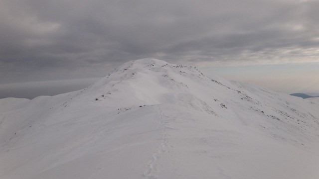 Traversarea Leaotei_iarna_14022015_blog 186