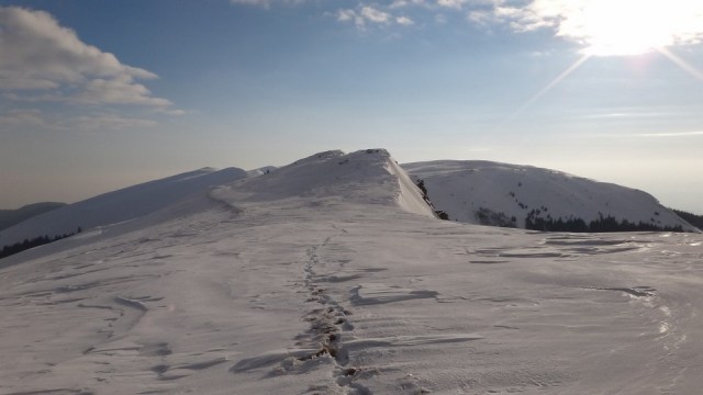 Traversarea Leaotei_iarna_14022015_blog 212