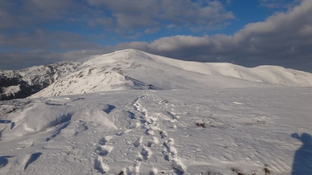 Traversarea Leaotei_iarna_14022015_blog 213