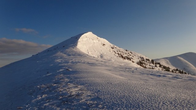 Traversarea Leaotei_iarna_14022015_blog 227