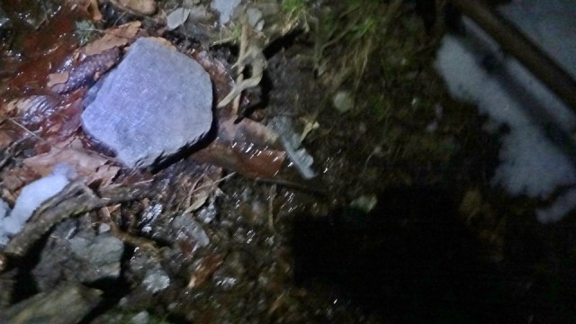 Traversarea Leaotei_iarna_14022015_blog 259