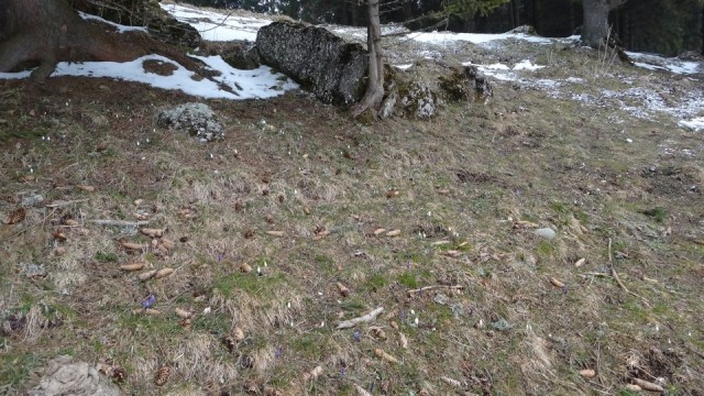 V Coltilor_iarna_14032015_blog 007