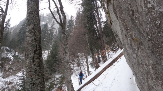 V Coltilor_iarna_14032015_blog 010