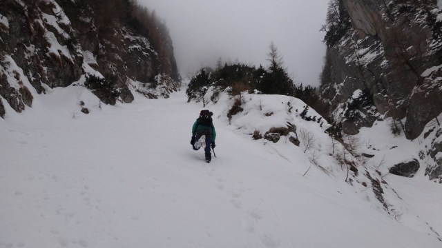 V Coltilor_iarna_14032015_blog 020