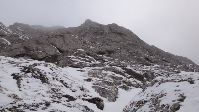 V Coltilor_iarna_14032015_blog 079