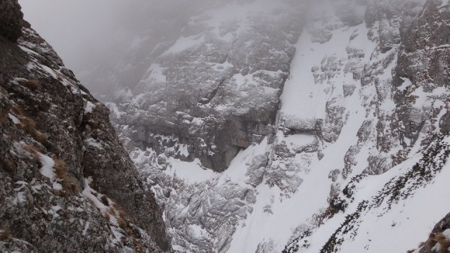 V Galbinele sec_iarna_14032015_blog 004