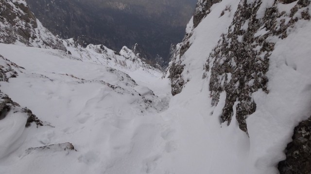 V Galbinele sec_iarna_14032015_blog 013