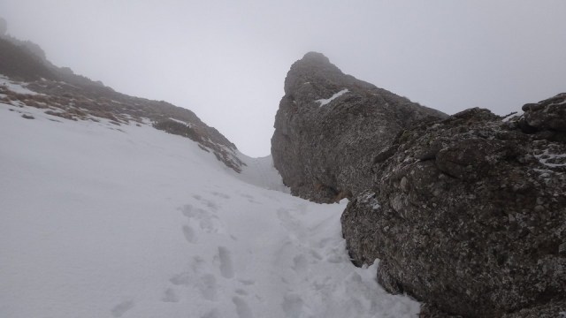 V Galbinele sec_iarna_14032015_blog 028