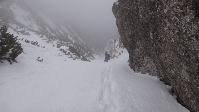 V Galbinele sec_iarna_14032015_blog 038