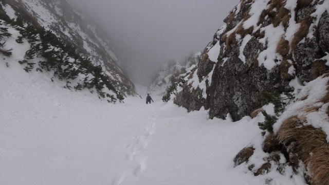 V Galbinele sec_iarna_14032015_blog 040